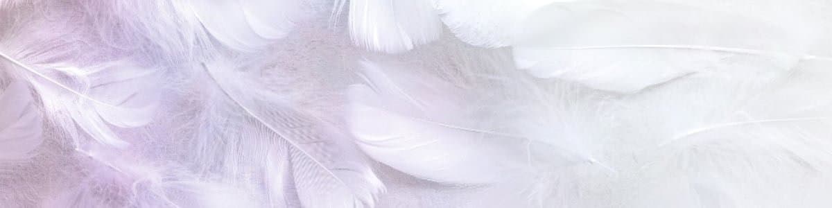 天羽はくあのヘッダー画像