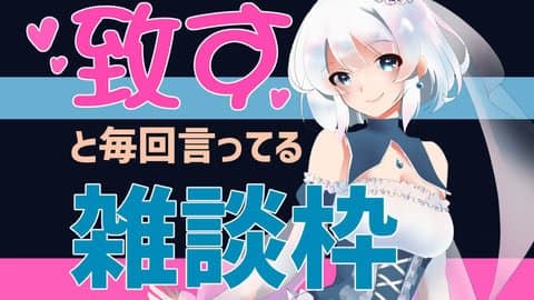雑談枠だと言ったな。あれは嘘だ
