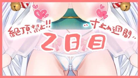 【絶頂禁止の寸止めオナニー週間2日目】いかないいかない・・・