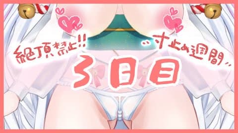 【絶頂禁止の寸止めオナニー週間３日目】いかないいかない・・・