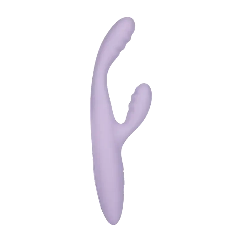 CICI+ 2