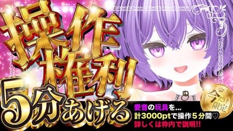 ５分間の遠隔操作