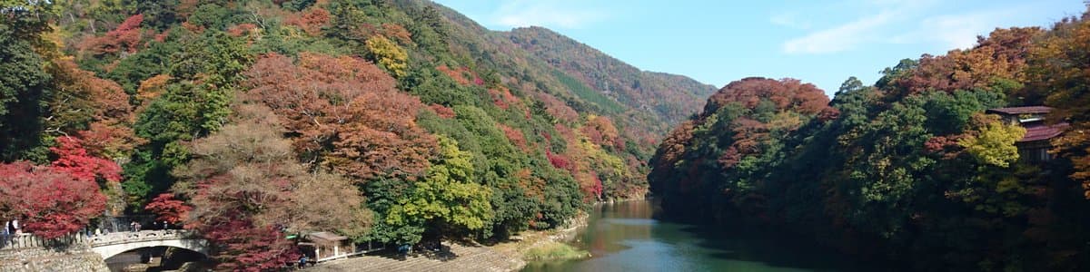 樟亀 カイトのヘッダー画像